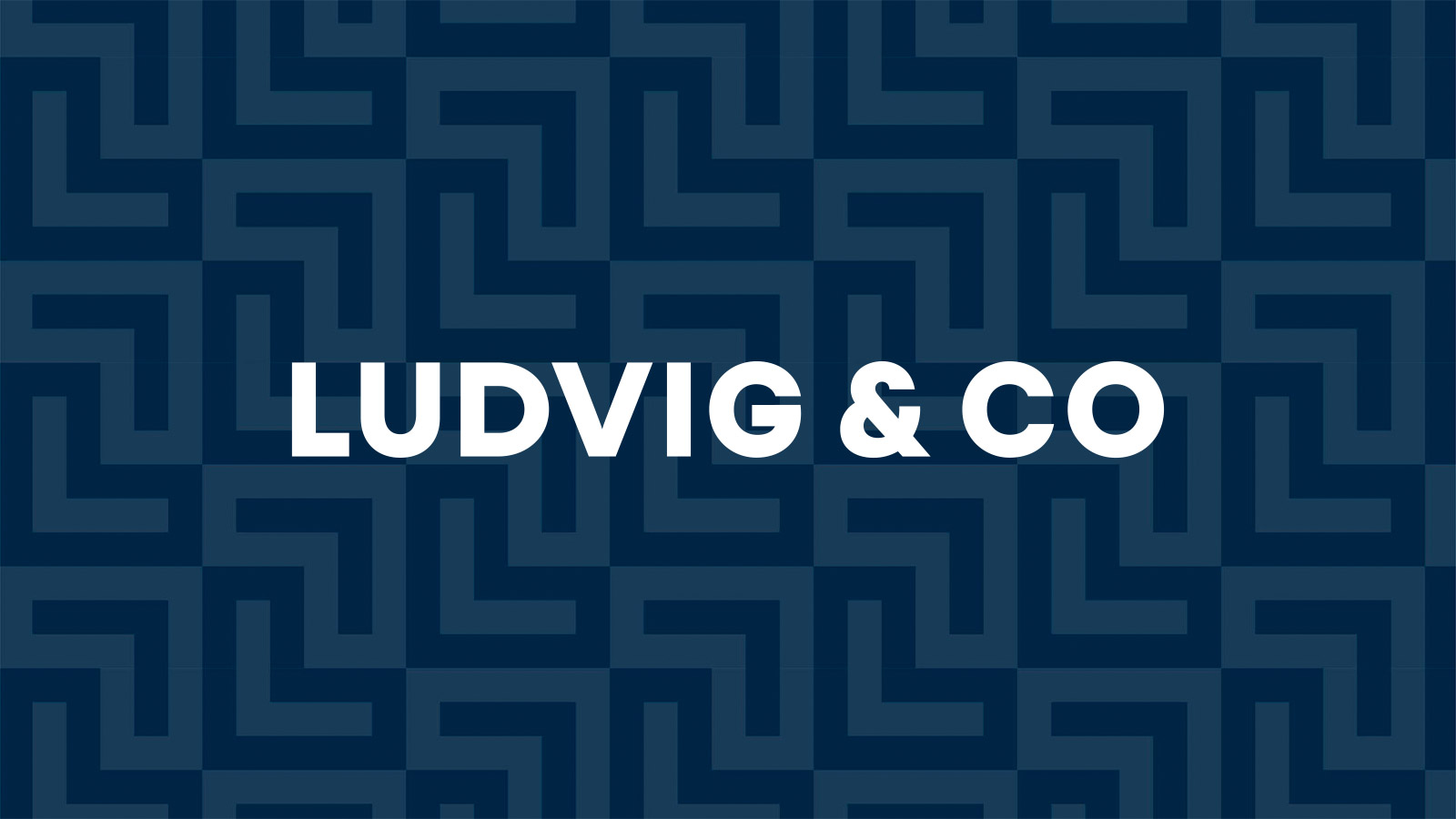 Ludvig & co